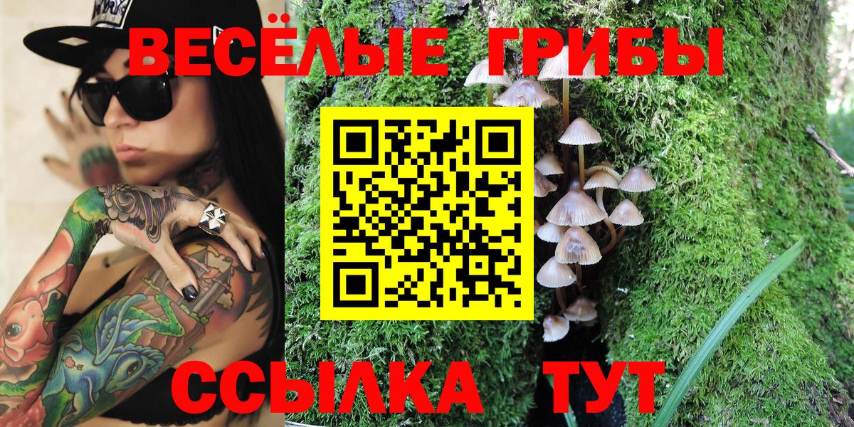 Псилоцибиновые грибы Cubensis  Вход с VPN  Кубинка 